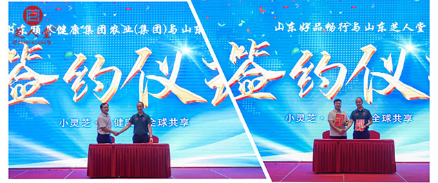 芝人堂承办泰山灵芝文化节，全国同道共襄盛举(图5)